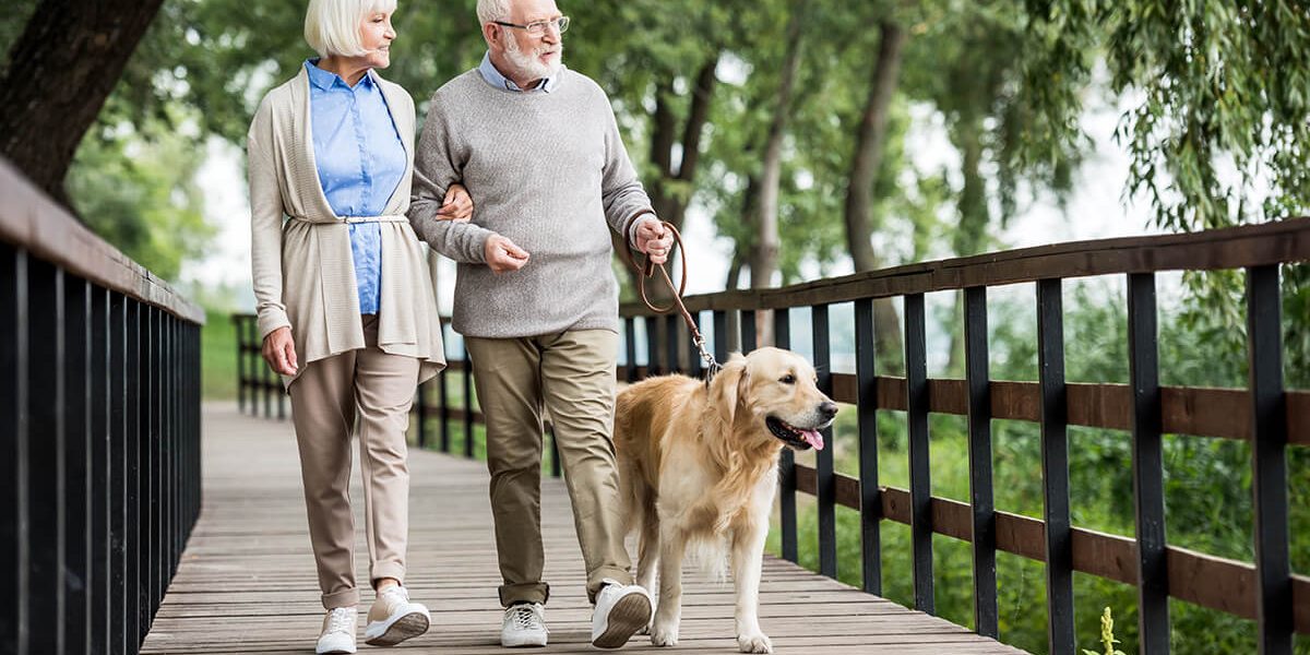Happy senior couple, walking with a golden retriever dog in a wooden bridge