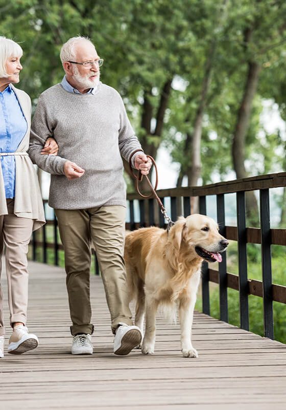 Happy senior couple, walking with a golden retriever dog in a wooden bridge
